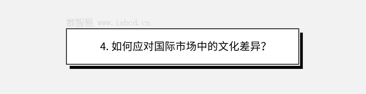 4. 如何应对国际市场中的文化差异？