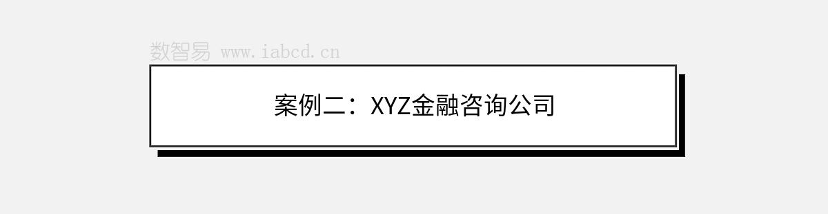 案例二：XYZ金融咨询公司