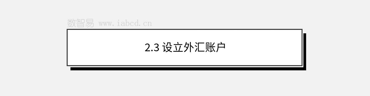 2.3 设立外汇账户