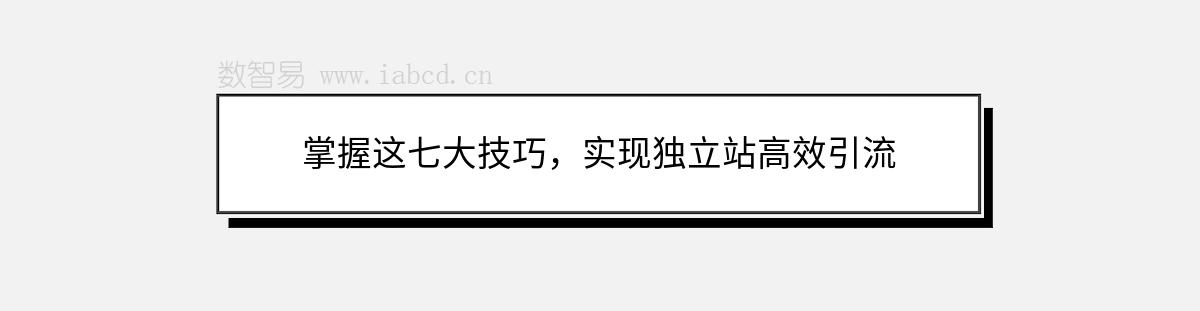 掌握这七大技巧，实现独立站高效引流