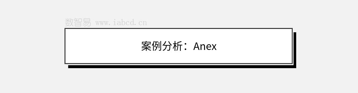 案例分析：Anex