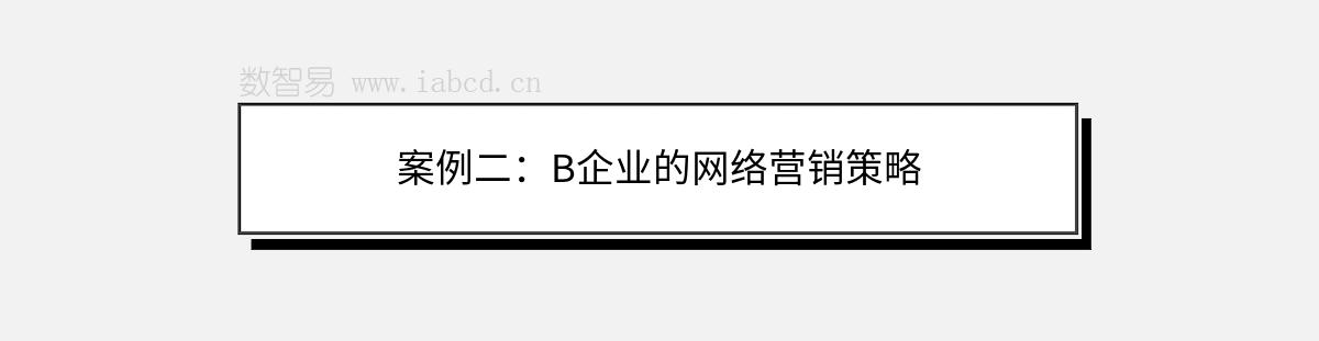 案例二：B企业的网络营销策略