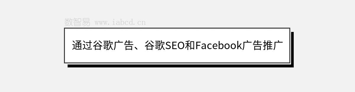 通过谷歌广告、谷歌SEO和Facebook广告推广