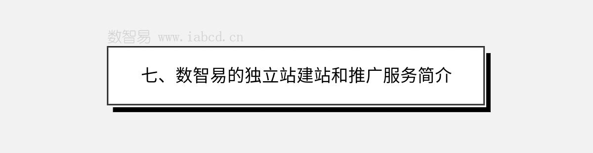 七、数智易的独立站建站和推广服务简介