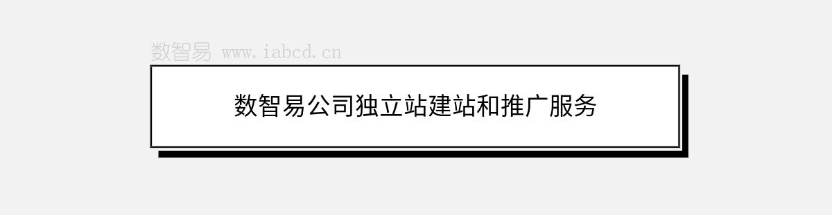 数智易公司独立站建站和推广服务