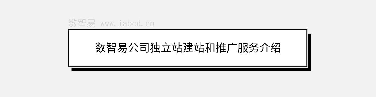 数智易公司独立站建站和推广服务介绍