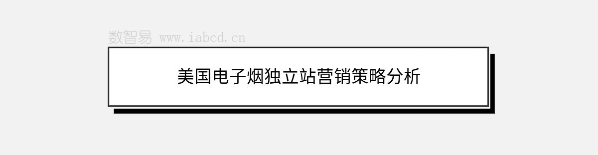 美国电子烟独立站营销策略分析