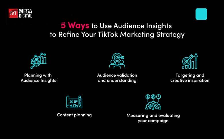 利用受众洞察完善 TikTok 营销策略的 5 种方法