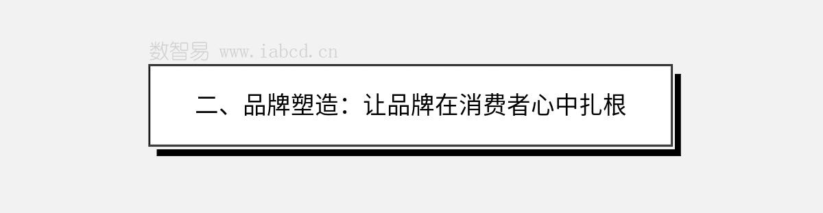 二、品牌塑造：让品牌在消费者心中扎根