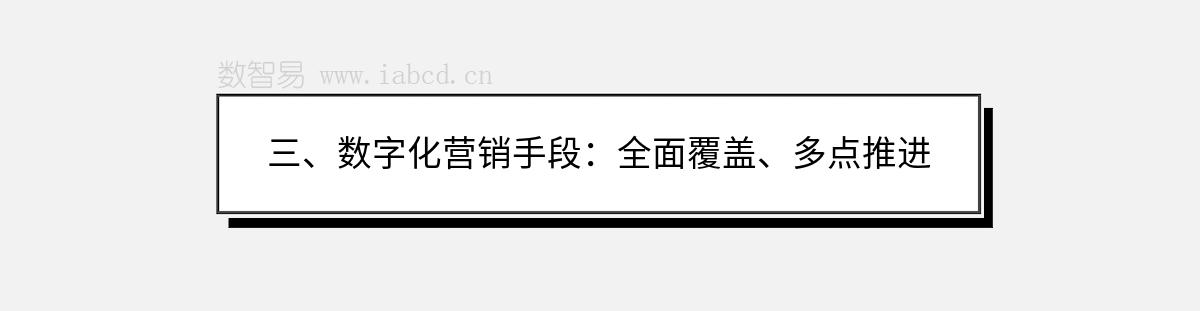 三、数字化营销手段：全面覆盖、多点推进