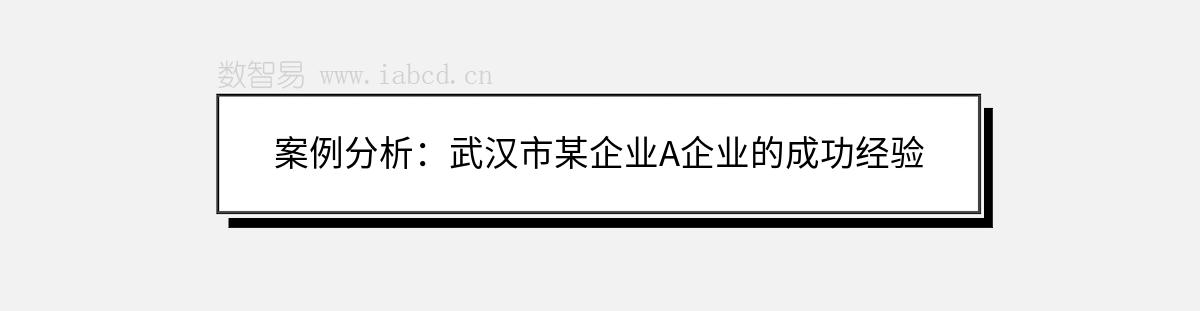 案例分析：武汉市某企业A企业的成功经验