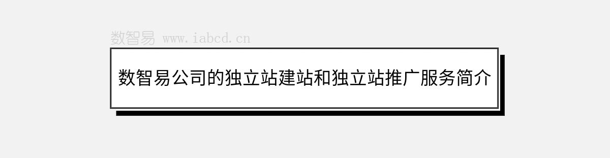 数智易公司的独立站建站和独立站推广服务简介