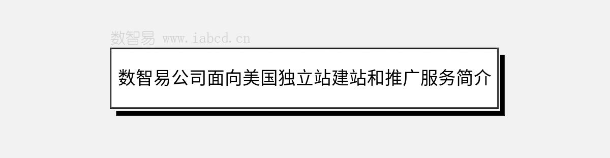 数智易公司面向美国独立站建站和推广服务简介