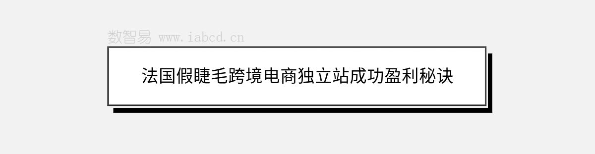 法国假睫毛跨境电商独立站成功盈利秘诀