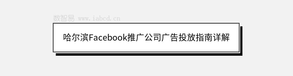 哈尔滨Facebook推广公司广告投放指南详解