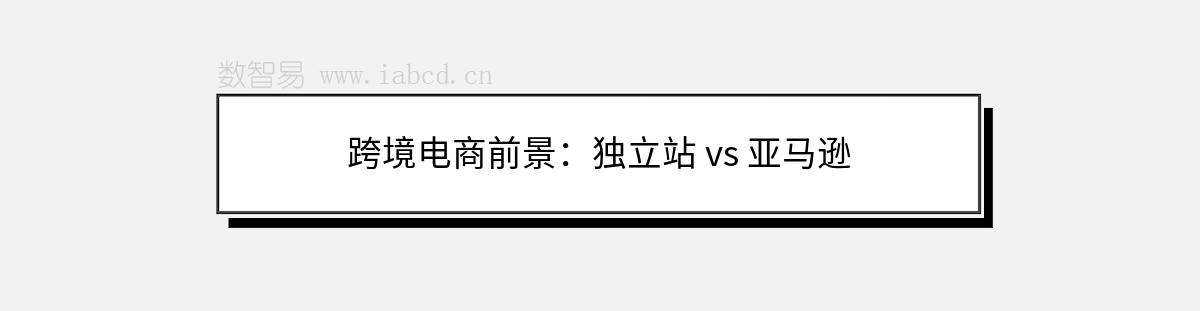 跨境电商前景：独立站 vs 亚马逊