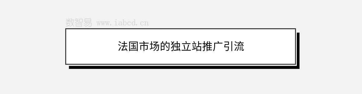 法国市场的独立站推广引流