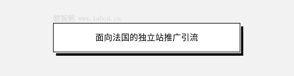 面向法国的独立站推广引流