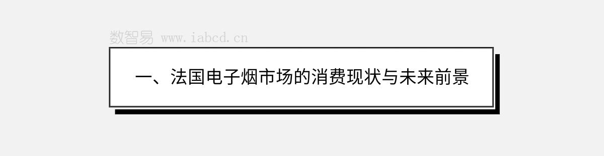 一、法国电子烟市场的消费现状与未来前景