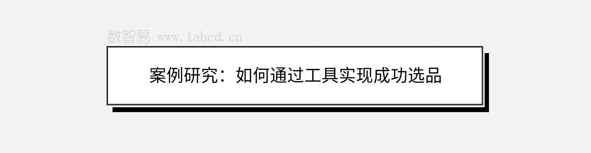 案例研究：如何通过工具实现成功选品