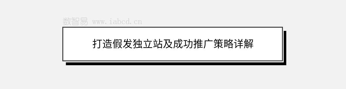 打造假发独立站及成功推广策略详解