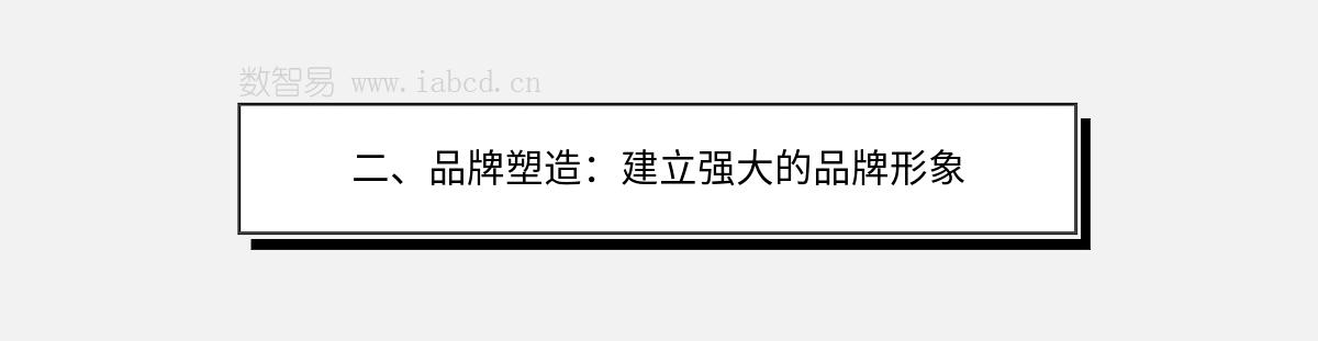 二、品牌塑造：建立强大的品牌形象