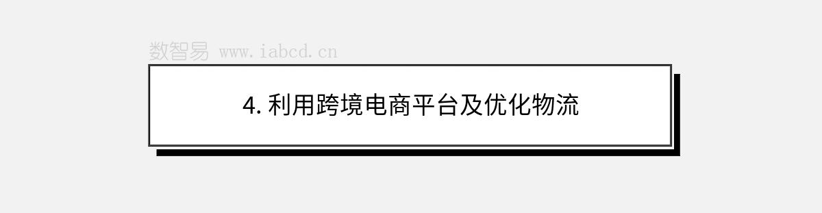 4. 利用跨境电商平台及优化物流