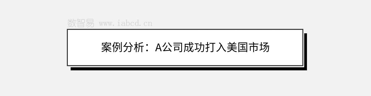 案例分析：A公司成功打入美国市场