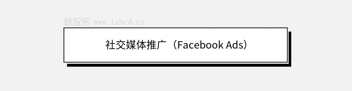 社交媒体推广（Facebook Ads）