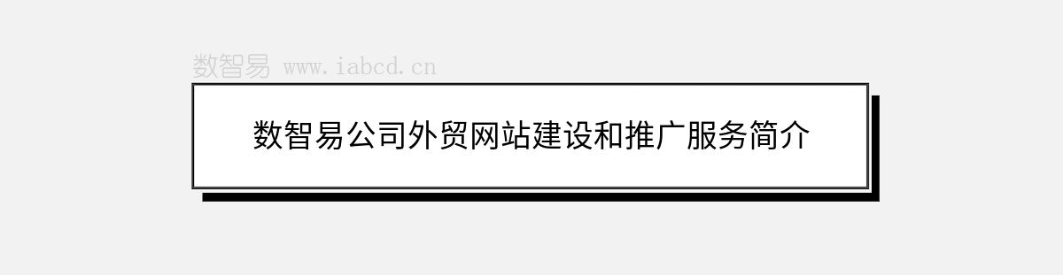 数智易公司外贸网站建设和推广服务简介