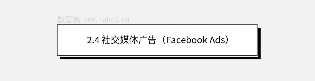 2.4 社交媒体广告（Facebook Ads）