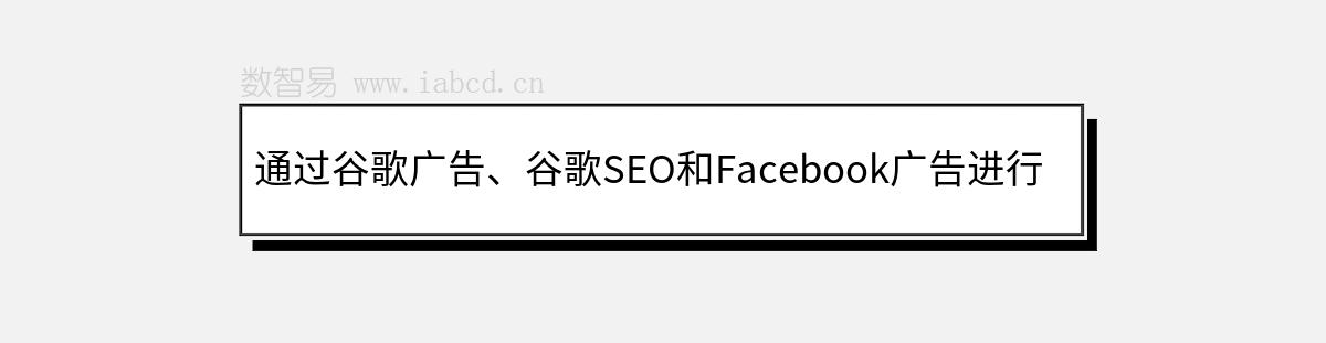 通过谷歌广告、谷歌SEO和Facebook广告进行推广