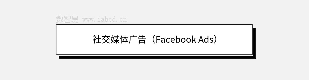 社交媒体广告（Facebook Ads）