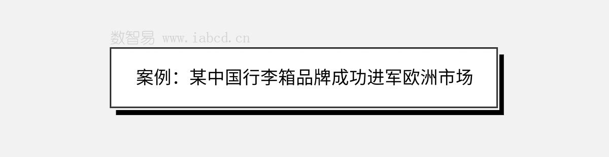 案例：某中国行李箱品牌成功进军欧洲市场