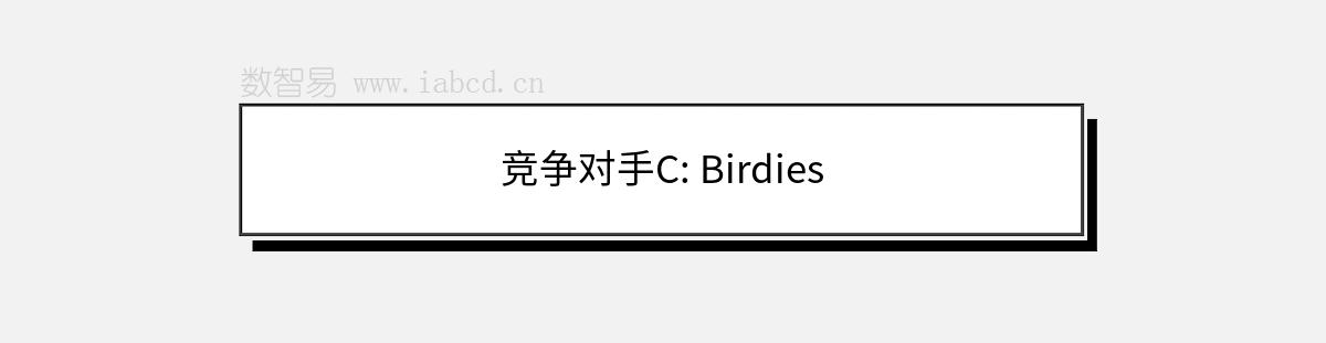 竞争对手C: Birdies