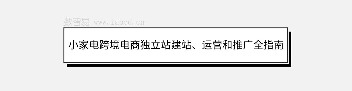 小家电跨境电商独立站建站、运营和推广全指南