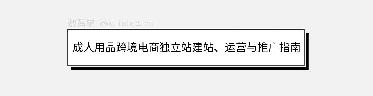 成人用品跨境电商独立站建站、运营与推广指南