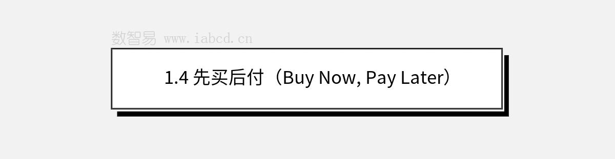 1.4 先买后付（Buy Now, Pay Later）