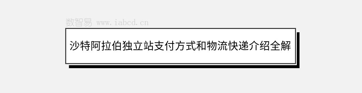 沙特阿拉伯独立站支付方式和物流快递介绍全解析