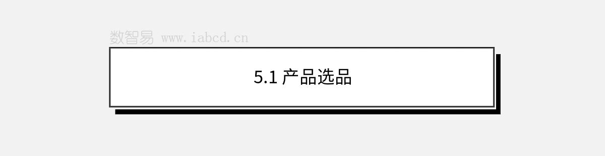 5.1 产品选品