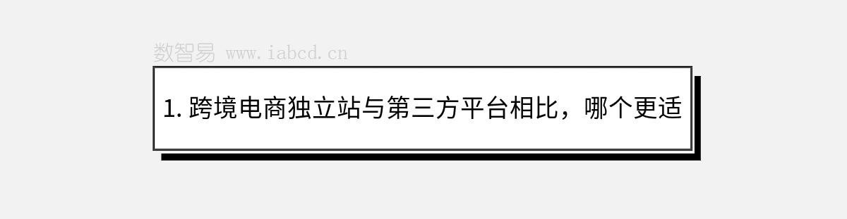 1. 跨境电商独立站与第三方平台相比，哪个更适合新手？