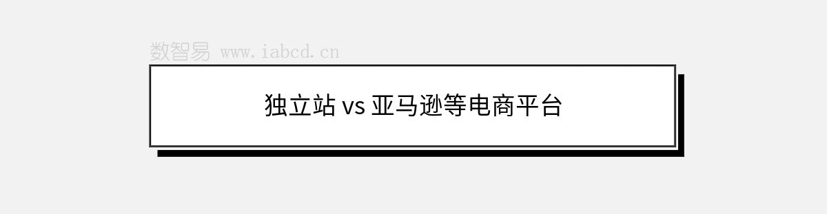 独立站 vs 亚马逊等电商平台