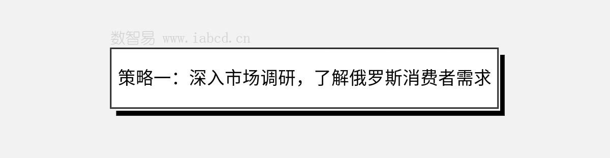 策略一：深入市场调研，了解俄罗斯消费者需求