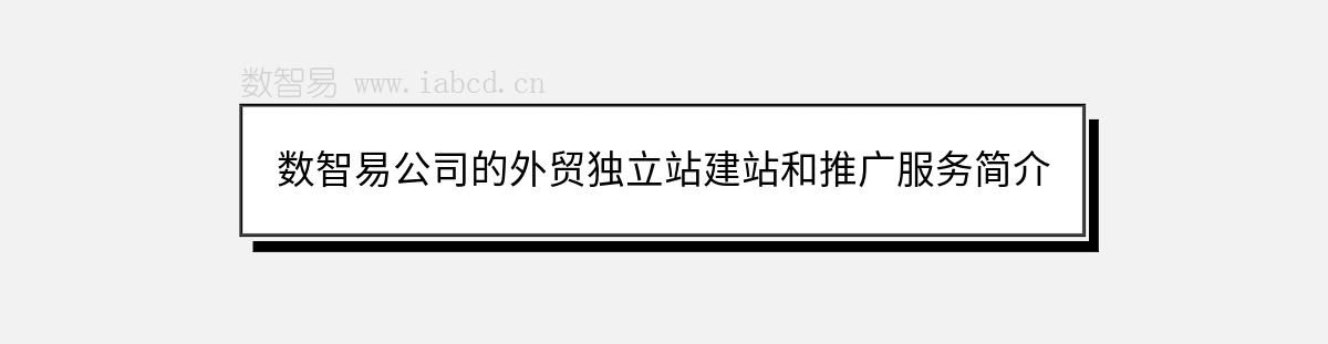 数智易公司的外贸独立站建站和推广服务简介