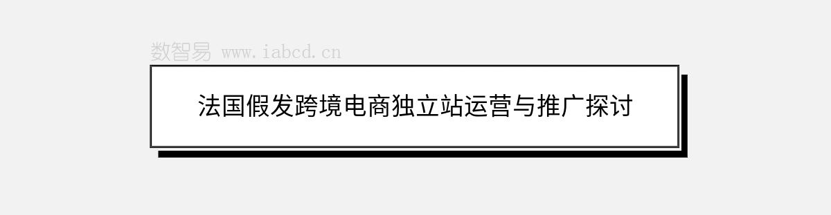 法国假发跨境电商独立站运营与推广探讨