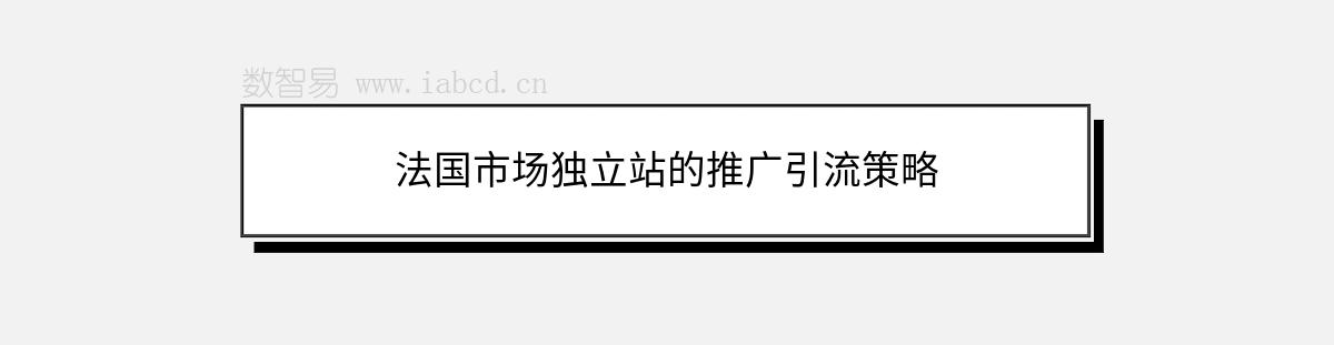 法国市场独立站的推广引流策略