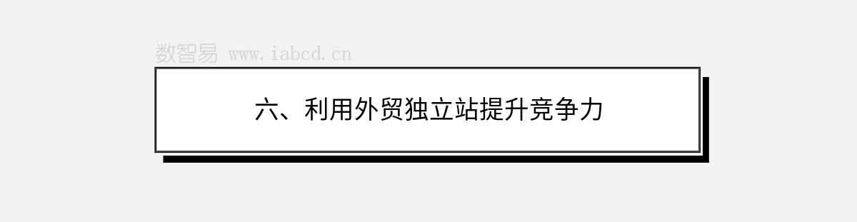 六、利用外贸独立站提升竞争力