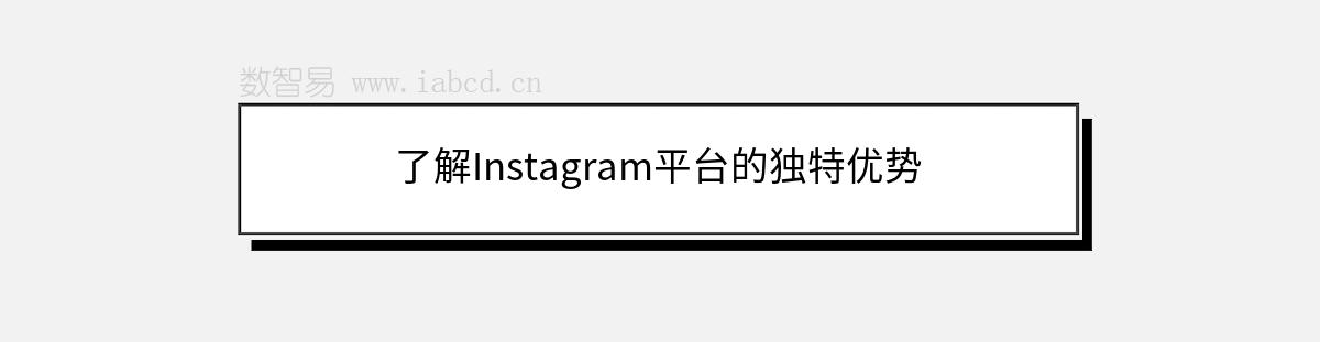 了解Instagram平台的独特优势