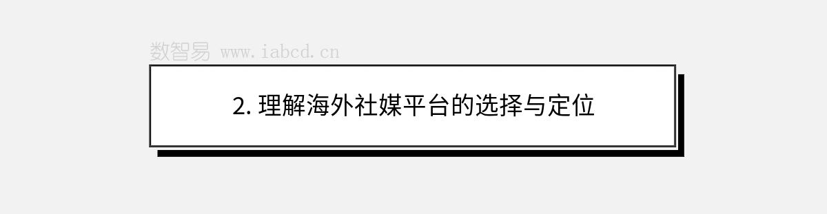 2. 理解海外社媒平台的选择与定位