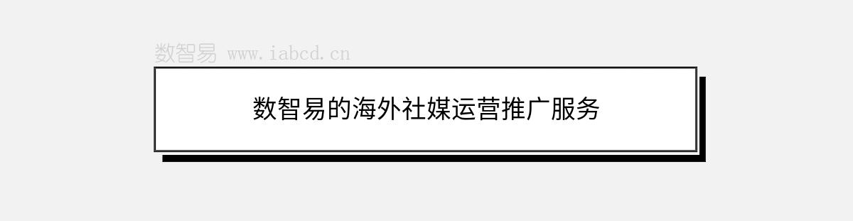 数智易的海外社媒运营推广服务